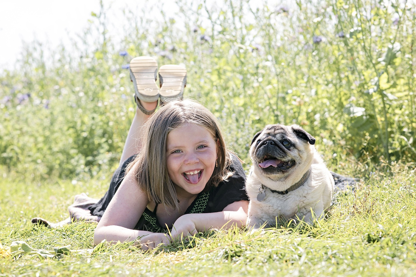 girl with pet pug laying in a field of wild flowers.